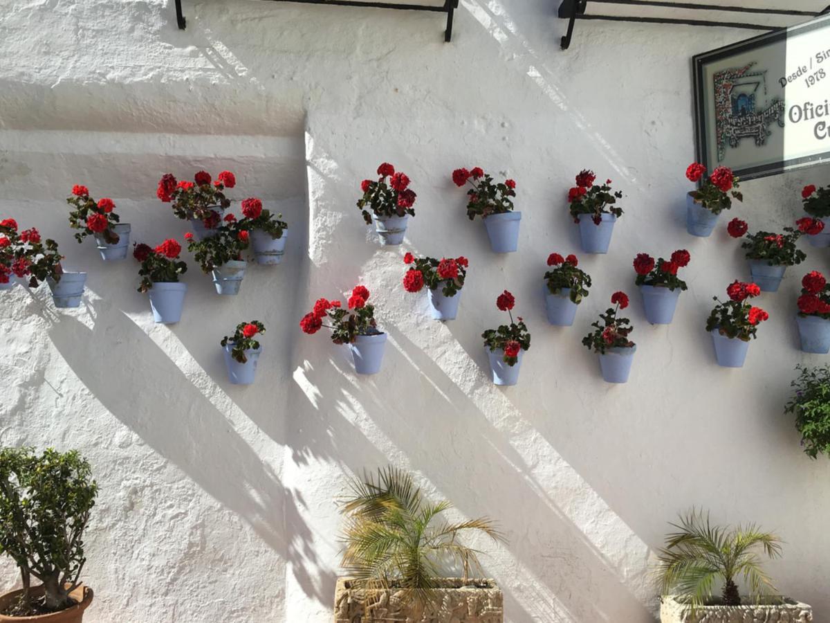 Appartement Erisa Ib Carihuela - Torremolinos Extérieur photo